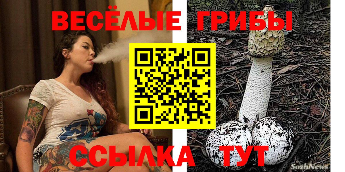 Псилоцибиновые грибы GOLDEN TEACHER  цены   Троицк  Вход с VPN 