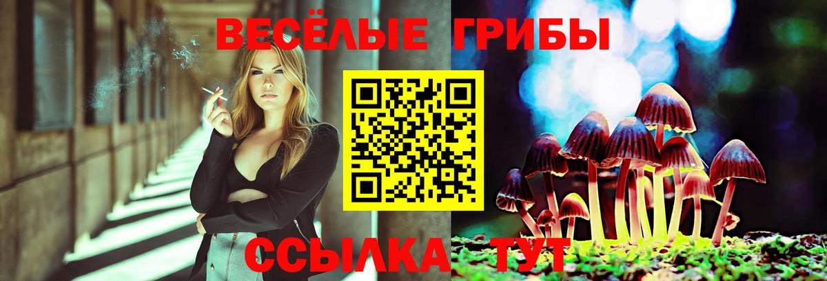 Галлюциногенные грибы прущие грибы Троицк